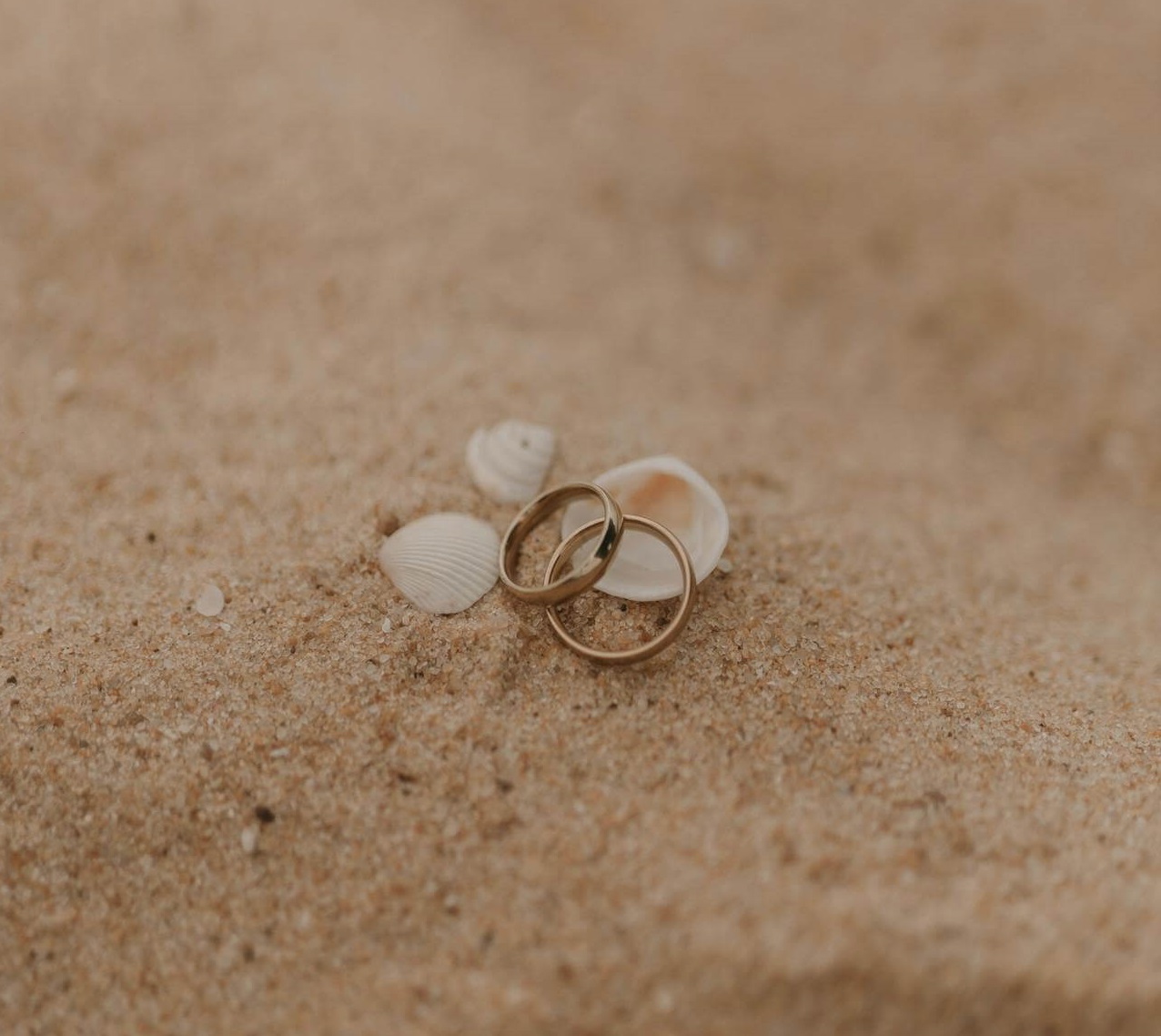 IL POSTO DELL’ADULTO (Coppia e Figli) L’Equilibrio del Cuore.